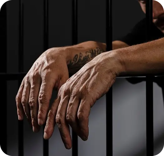 Criminal Offenses